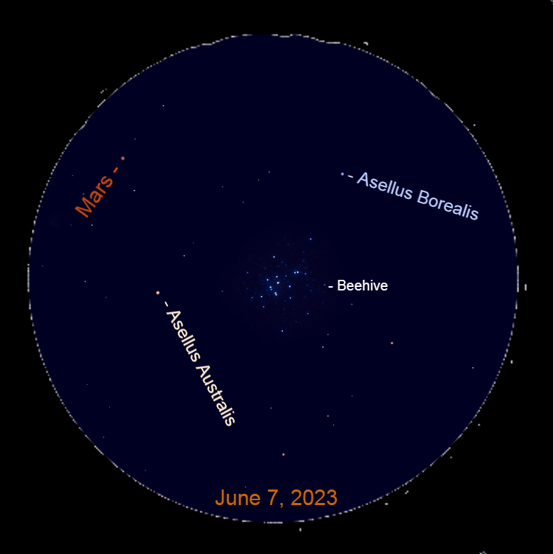 2023, June 7: Through a binocular, Mars is to the upper left of the Beehive star cluster.